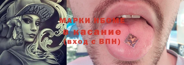 прущие грибы Каменск-Шахтинский