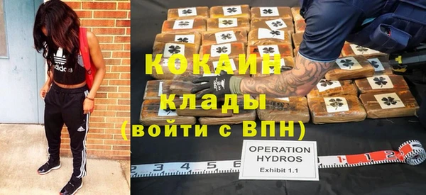 твердый Каменка