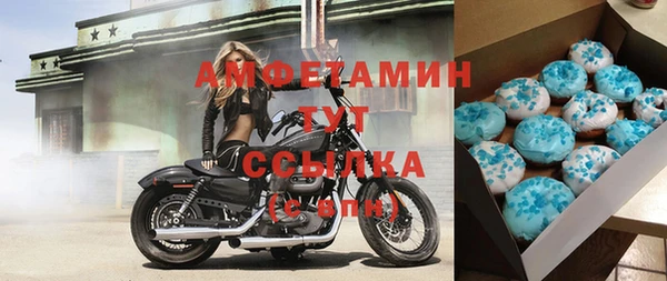 прущие грибы Каменск-Шахтинский