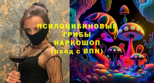 прущие грибы Каменск-Шахтинский