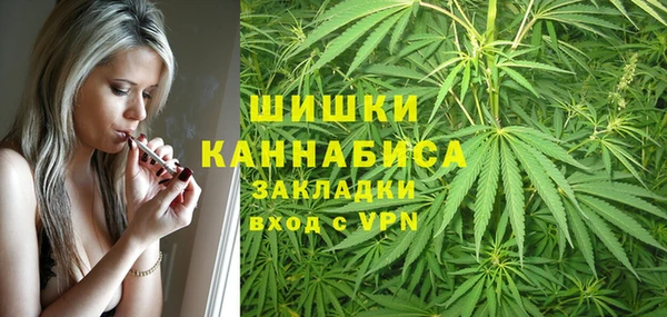 прущие грибы Каменск-Шахтинский
