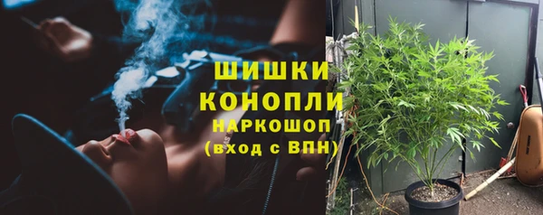 прущие грибы Каменск-Шахтинский