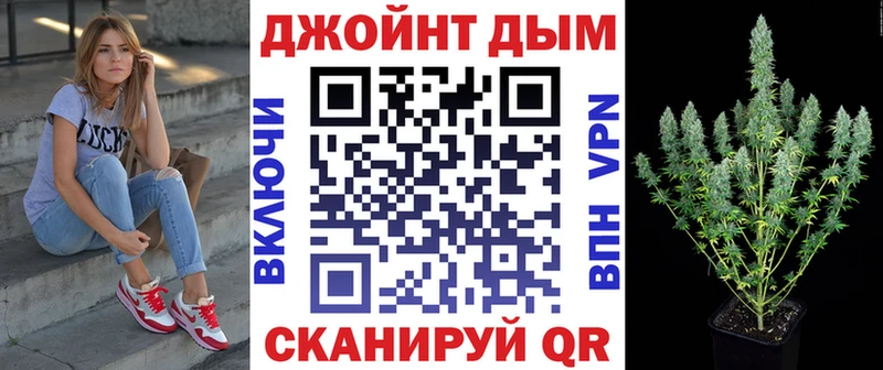 Конопля SATIVA & INDICA  Купить где  Духовщина 